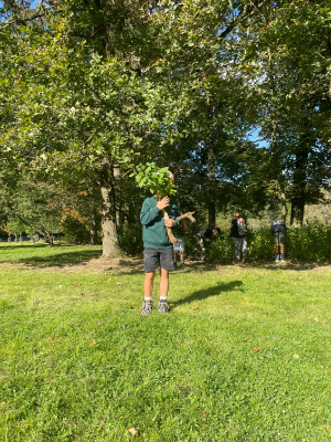 Sint-Martinus den XIIde - september-oktober